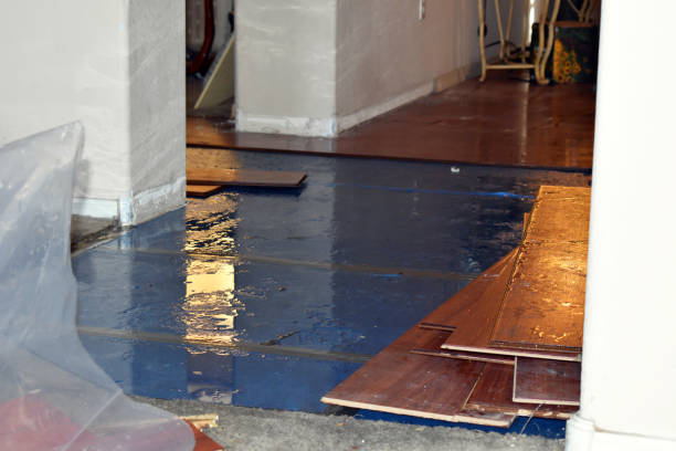 Professional Sewage Cleanup technician working in Valencia, CA
